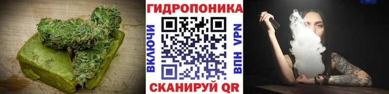 дарнет шоп  Сенгилей  Печенье с ТГК марихуана 